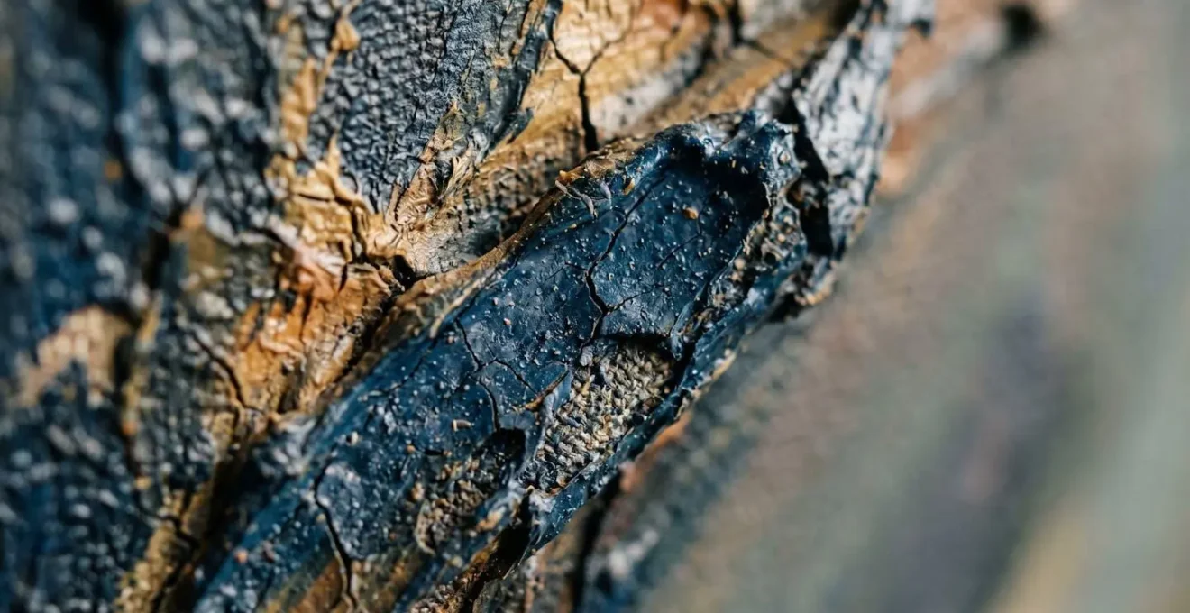 Intimate macro detail exploring texture and materiality as metaphor for authentic presence versus reproduced distance in art objects