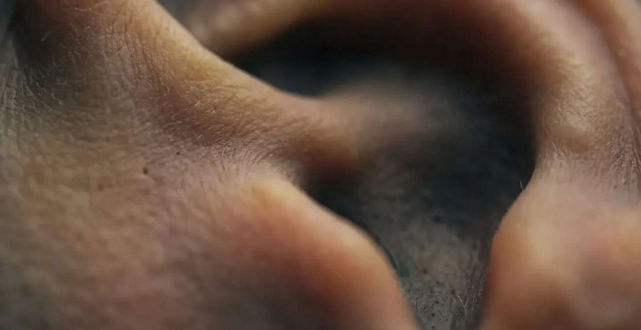 Close-up macro detail of subtle light and shadow transitions creating perceptual ambiguity in a curved form.