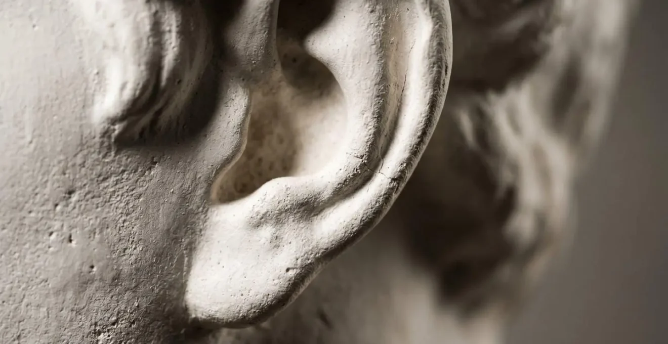 Extreme close-up of weathered plaster cast surface showing tonal gradations and sculptural form