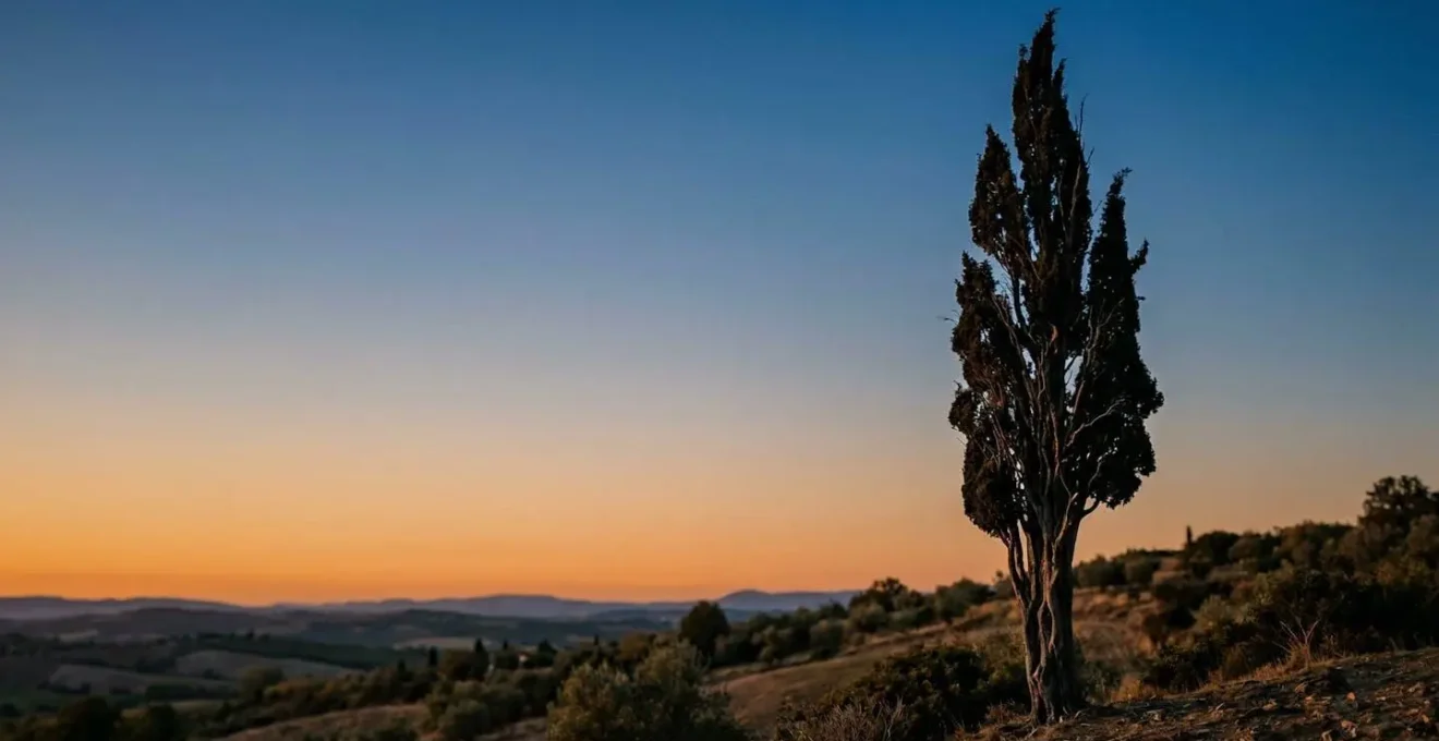 A dramatic cypress tree reaching toward a swirling night sky, symbolizing the bridge between earthly suffering and spiritual transcendence